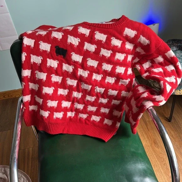 Rowing Blazers Warm & Wonderful Red 100% Wool Diana Fitted Sheep Sweater XL - Picture 5 of 13